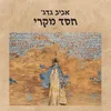 About חסד מקרי Song