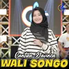 About Wali Songo Song