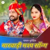 About Marwadi Mashup Song Song