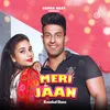 About Meri Jaan Song