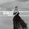About Wings Song
