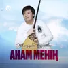 About Анам менің Song