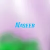 Naseeb