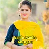 About Nanhe Nanhe Ghungru Song