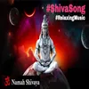 About Om Namah Shivaya Song