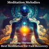 About """Healing Harmony: Best Meditation for Fast Recovery"" " Song