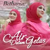 About Air Dalam Gelas Song