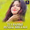 TUI HAMKE PENDAI BHULALI