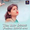 About Tor Rup Dekhe Pagal Hoye Jai Song