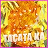 About Tacata Ka Song