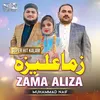 About A Qadardani Lore (Zama Aliza) Song