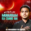 About Muharram Ka Chand Hai Song