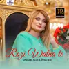 About Rozi Watna Ty Desiya Allah Song