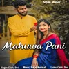 About Mahuwa Pani Song