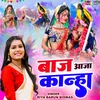 About Baaj Aaja Kanha Song