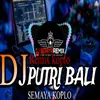 About DJ PUTRI BALI Song