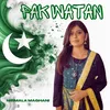 About Pak Watan Song