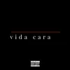 About Vida Cara Song