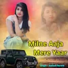 About Milne Aaja Mere Yaar Song