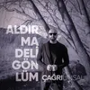 Aldırma Deli Gönlüm