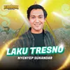 About Laku Tresno Song