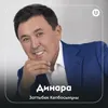 About Динара Song