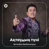 About Ақтаудың түні Song