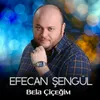 About Bela Çiçeğim Song