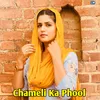 About Chameli Ka Phool Song