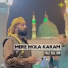 About Mere Mola Karam Song