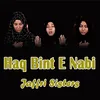 About Haq Bint E Nabi Song