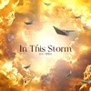 About In This Storm Song