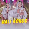 About Wali Songo Song