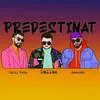 About Predestinat Song