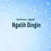 About Ngalih Dingin Song