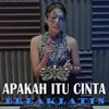 About Apakah Itu Cinta Song