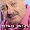 About Yıldızlarım Şahit Song