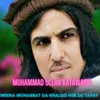 About Meena Muhabbat Da Khalqo Her De Tapay Song