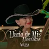 About Llano de mis Añoranzas Song