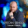 About Yanar Yürek Song