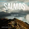 About Salmo 23 Song
