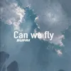 About Can we fly Song