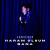 About Haram Olsun Bana Song