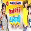 About Kisti Pe De De Jawani Song