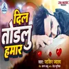 About Dil Todalu Hamar Song
