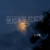 About 恍惚半生烂如泥 Song