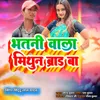 Bhatni Wala Mithun Brand Ba