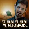 About Ya Nabi Ya Nabi Ya Muhammad (SAWW) Song