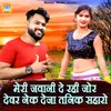 About Meri jawani De rahi Jor Devar Nek Deja Tanik Saharo Song