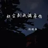 About 红尘赐我满身伤 Song